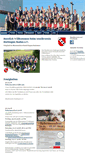 Mobile Screenshot of musikvereinhattingen.de